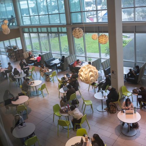 Students in the library